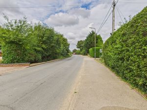 Photo 51- click for photo gallery
